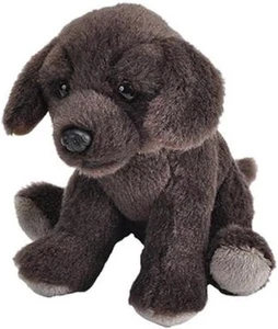 Pocketkins, Chocolate Labrador, Stuffed Animal, 5 Inches, Kids, Plush Toy, Fill - Picture 1 of 1