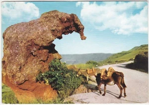 CASTELSARDO - SASSARI - "L'ELEFANTE" - VIAGG. 1962 -5832- - Bild 1 von 1