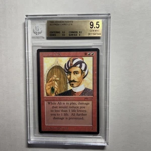 MTG Arabian Nights Ali from Cairo BGS 9.5 Gem Mint (with sub grades) 1993 - Bild 1 von 4