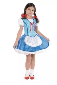 Disfraz de El Mago de Oz Dorothy Hallowern para niño talla pequeña (4-6) - Imagen 1 de 4