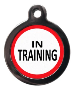 Pet ID tag  Assistance dog IN TRAINING  tag  32mm or 24mm personalised - Picture 1 of 2