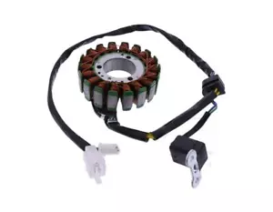 Alternador Estator JMP Kymco Bet & Win 250 Dink 250 Bet & Win Grand Dink 250 P - Imagen 1 de 1