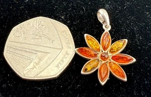 Natürlicher Herbststern Anhänger - 925 Sterling 3 Gramm - Bild 1 von 3