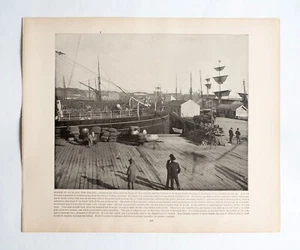 HARBOR OF AUCKLAND, NEW ZEALAND vintage print late-1890s. - Picture 1 of 2