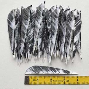 50PCS 4inch White Parabolic Camouflage Archery Arrow Feather Fletches RW LW - Picture 1 of 6