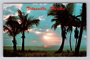 Titusville FL-Florida, Palm Trees Florida Sunrise, Antique Vintage Postcard - Picture 1 of 2