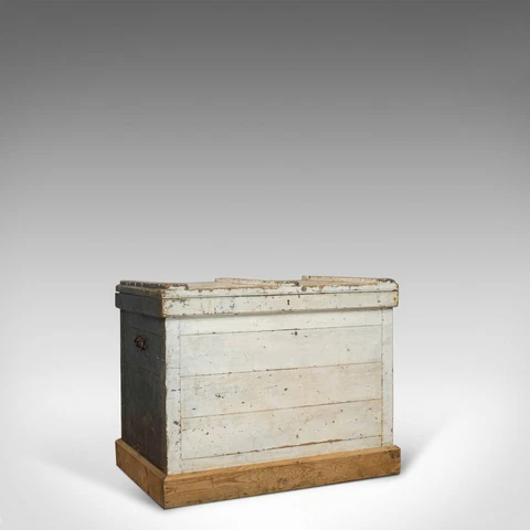 Antique Travel Trunk, English, Pine, Zinc Lined, Carriage Chest, Victorian Cover