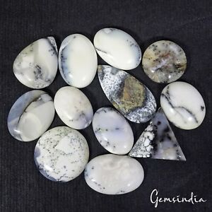 12 Pcs Natural Dendrite Opal Cabochon Untreated Huge Loose Gemstone~25mm to 43mm