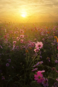 Sunset Landscape Nature Print New Painting Wall Art Home Decor - POSTER 20x30 - Picture 1 of 4