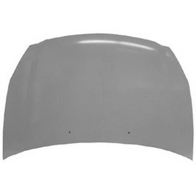 Hood Panel for Kia Sedona 2006-2014  Foto 1 de 4