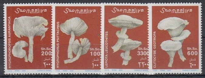 145.SOMALIE 2002 ENSEMBLE/4 TIMBRES CHAMPIGNONS. MNH - Photo 1/1