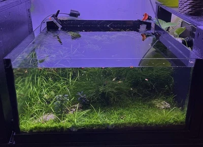 Fish Tank 24x24x12 - Image 1 of 4