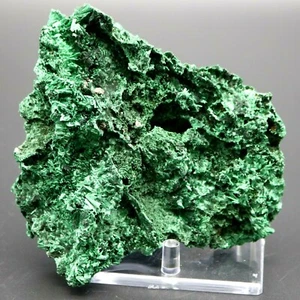 Grande EXQUISITO Vibrante Verde Fibroso MALAQUITA Cristal Mineral Espécimen Druzy - Imagen 1 de 6
