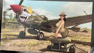 Eduard 1/32 P-40N Warhawk Ltd Ed - Picture 1 of 8
