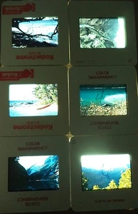 6 Original Vintage 35mm Kodak Photo Color Slide Nature Kodachrome Transparency - Picture 1 of 10