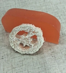 Argan Solid Shampoo Bar 95g with 1cm Loofah Soap Drier - Sage and Juniper - Picture 1 of 7