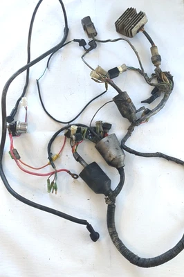 1987 Yamaha Warrior 350 Wiring Harness – Mostly OEM – Untested – For Parts - Image 1 of 4