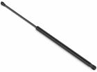 Deck Lid Lift Support For 2003-2008 VW Beetle 2004 2005 2006 2007 M113WG