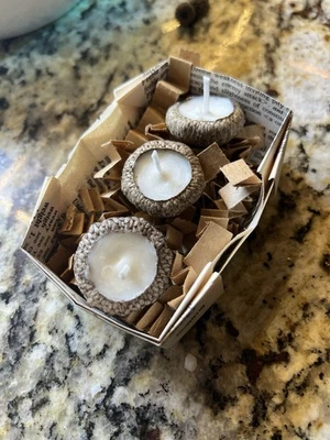 Luces flotantes de té de bellota para decoración de la naturaleza Foto 1 de 3