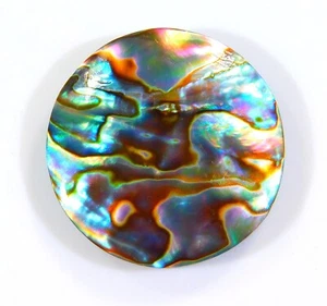 34 CT 100%NATURAL RAINBOW FIRE ABALONE SHELL CABOCHON GEMSTONE 27x27x6 MM BP=093 - Picture 1 of 6
