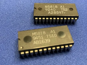 M5818 A1 TS2 24 PIN DIP RTC IC ULTIMI - Foto 1 di 1