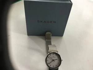 Skagen Ladies Watch Stainless Steel Mesh Bracelet Requires New Battery - Picture 1 of 6