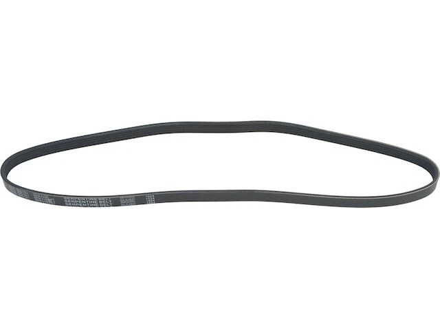 Cinturón multi costilla para Toyota Camry 1997-2001 2,2 L 4 cilindros 2000 1999 1998 RH736YP Foto 1 de 1