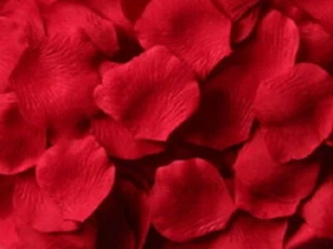 500 Silk Rose Petals Wedding Party Decoration Flower Vase Floral Confetti Favor - Picture 1 of 20