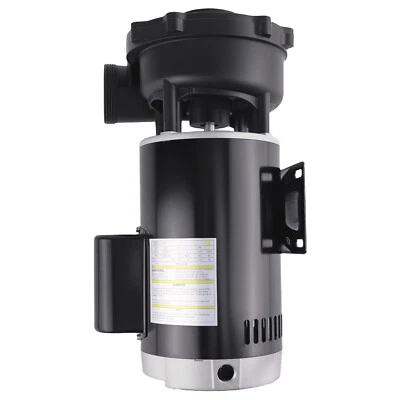 4HP Spa Pump Motor 230V for Dual-Speed Spa Pump  Equipment 37216211D Replacement - Image 1 of 4
