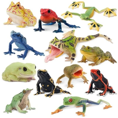 Toymany 12-pcs Frog Animal Figurine, Realistic, Collectible Hand-painted Toy Set