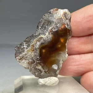SS Rocks - Fire Agate "Polished" (Unknown Local) 15.8g Fluorescent - Picture 1 of 7