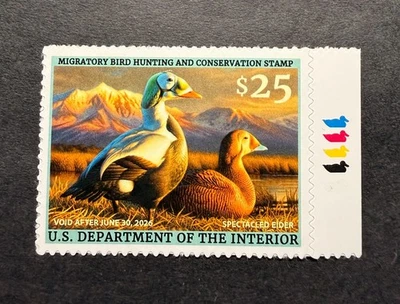 Estampillas WTD - #RW92 2025 - Estampilla de pato federal de Estados Unidos **ADAM GRIMM** Como nueva sin usar - Foto 1 de 2