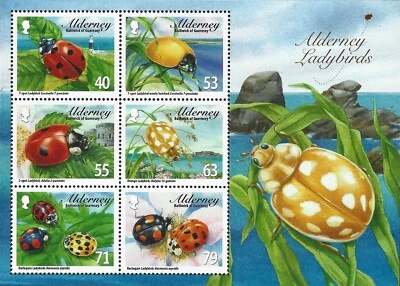 2014 Alderney Sg MSA514 Alderney Ladybirds MNH - Image 1 of 2