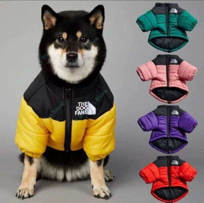 At just $25 , give your puppy the comfort and style they deserve 🐶 - Image 1 of 4