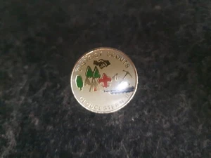 District Scouts Gloucester NB Lapel Pin Pinback FREE COMBINED SHIPPING - Picture 1 of 2