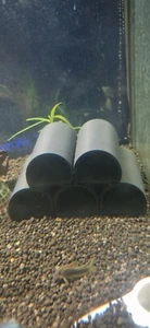 pleco breeding cave 5 In 1 - Picture 1 of 5