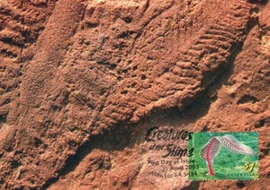 2005 Charniodiscus Fossil POSTCARD Maxicard FDI $1 Stamp Cancelled Hawker SA - Picture 1 of 2