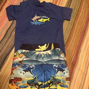 Boys Swimming Shirt And Swimming Shorts Size 4 UGC - Picture 1 of 7