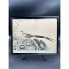 Antiker Giuseppe Castiglione Blockkunstdruck Aquarell des Vogels Chinesisch Italienisch