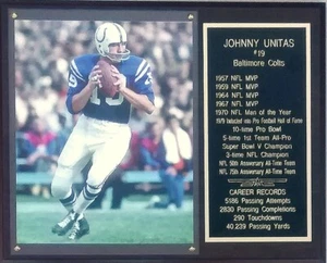 Johnny Unitas Baltimore Colts 12x15 Stats Plaque - Picture 1 of 1