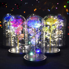 Galaxy Rose in Glass Dome /w LED Light Forever Flower Love Gifts for Christmas