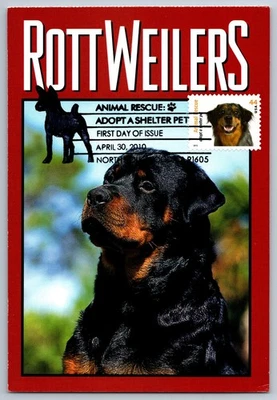 #4458 Adopt a Pet Dog Australian Shephard FDC Maxi Card - Image 1 of 2