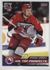 2002-03 Choice AHL Top Prospects Jeff Heerema #19