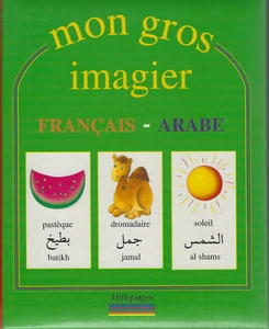 Mon Gros Imagier Français-Arabe / French-Arabic Visual Dictionary for Children - Picture 1 of 1