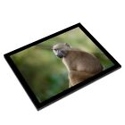 A3 Glass Frame - Wild Olive Baboon Monkey Ape Art Gift #21132