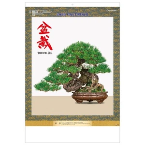 Tohdan 2025 Kalender Wandbehang Bonsai 76,6 x 51,5 cm Td-624_ - Bild 1 von 1