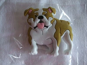 Magnet - Motiv Hund ENGLISCHE BULLDOGGE - Bild 1 von 1
