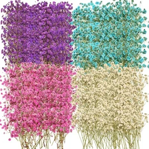 200 Pcs Dried Baby's Breath Flowers Preserved Baby's Breath Pressed Gypsophil... - Picture 1 of 7