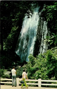 El Yunque Rain Forest El Yunque Puerto Rico Postcard - Picture 1 of 2