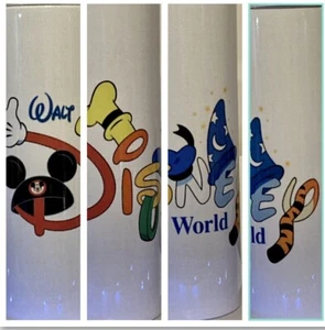 Disney’s Walt Disney World Tumblr. 20oz Double-Walled, Insulated. - Picture 1 of 5